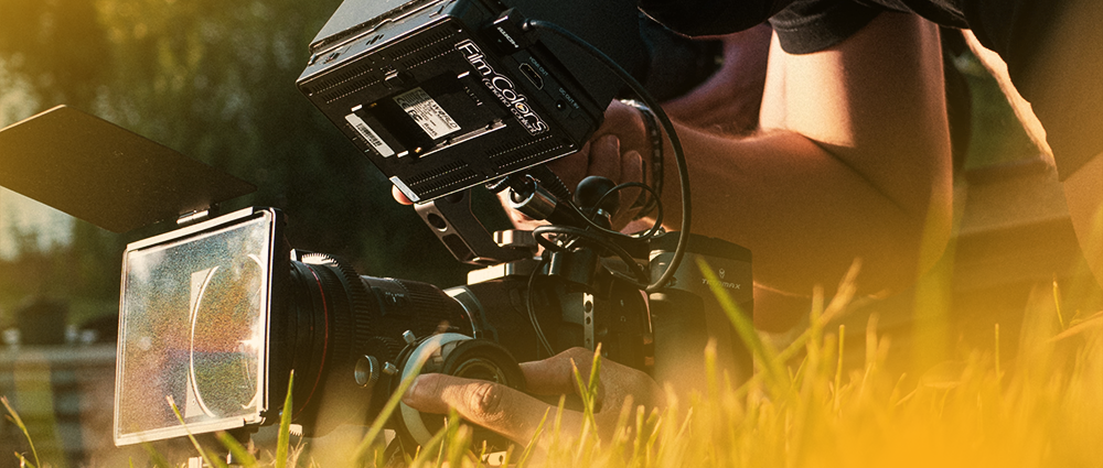 A person holding a camera, surrounded by verdant grass