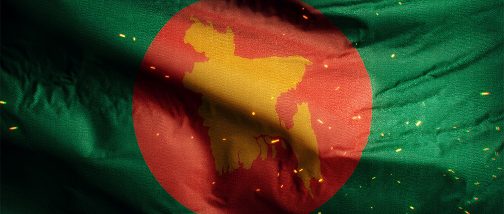 awami league flag