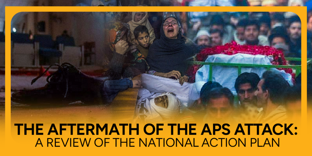 APS Attack - A Review of the National Action Plan