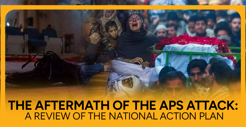 APS Attack - A Review of the National Action Plan